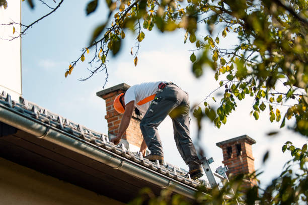 Best Roof Gutter Cleaning  in Carencro, LA