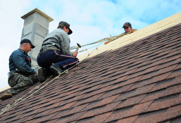 Best Local Roofing Companies  in Carencro, LA
